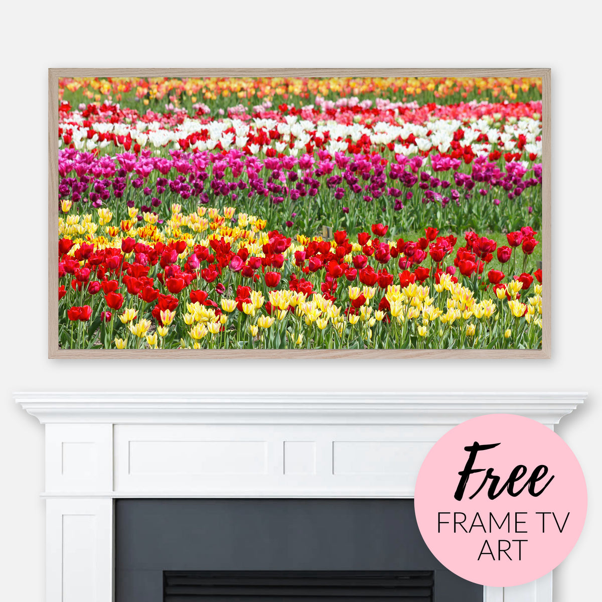 Free Spring Samsung Frame TV Art Digital Download - Colorful Tulip