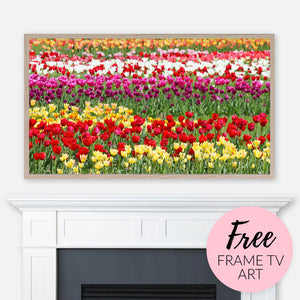Free Spring Samsung Frame TV Art Digital Download - Colorful Tulip Flowers Field
