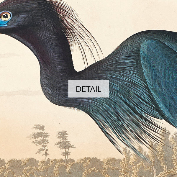 John James Audubon Wildlife Bird Painting - Blue Crane, or Heron - Samsung Frame TV Art - Digital Download