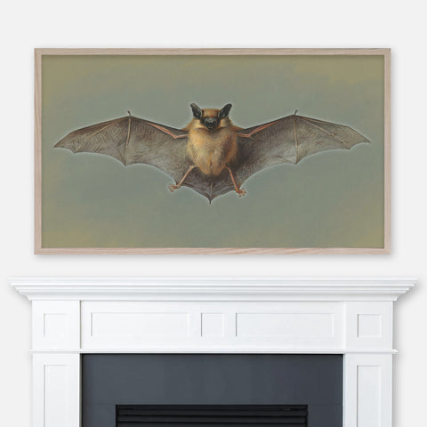 Archibald Thorburn Painting - Study of a Common Pipistrelle Bat - Halloween Samsung Frame TV Art 4K - Digital Download
