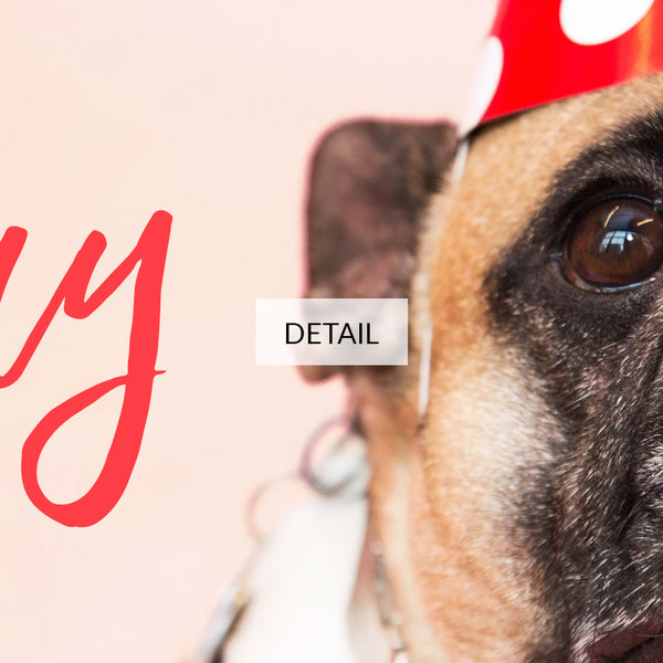 Happy Birthday Samsung Frame TV Art 4K - Cute Pug Dog Wearing Red Polka Dot Party Hat - Digital Download