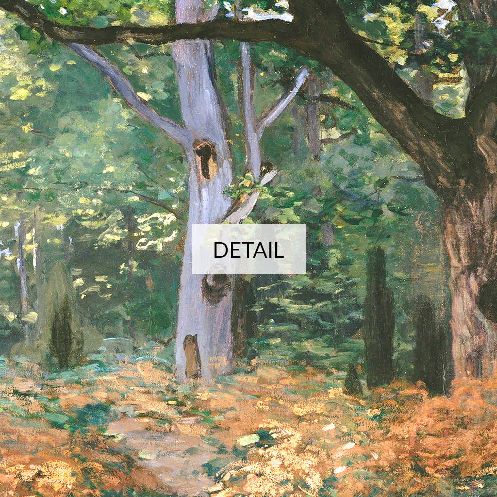 Road in a Forest Fontainebleau, 1864 - Claude Monet