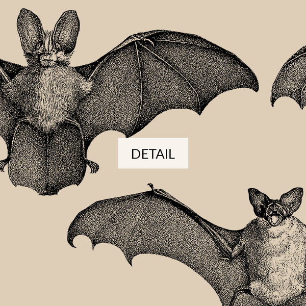 Bats Vintage Etchings Drawings - Halloween Samsung Frame TV Art 4K - Neutral Beige & Black - Digital Download