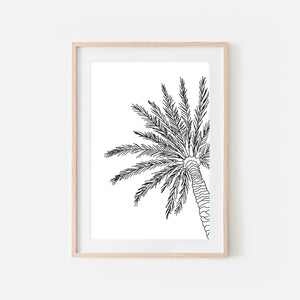 Palm Tree No. 1 Line Art - Minimalist Beach Tropical Wall Decor - Black and White Print, Poster or Printable Download