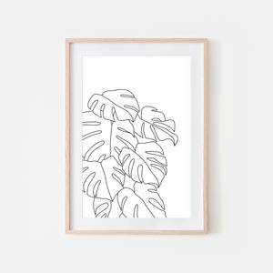 monstera plant line drawing Botanical Line Art - Monstera Leaves