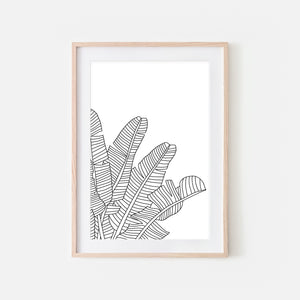 Botanical No. 19 Line Art - Minimalist Banana Leaf Drawing - Tropical Beach Wall Decor - Black and White Print, Poster or Printable Download