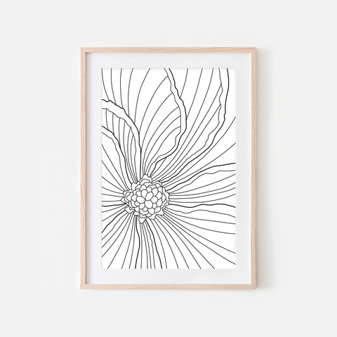 Floral No. 2 Wall Art - Minimalist Begonia Flower Line Drawing - Black and White Print, Poster or Printable Download