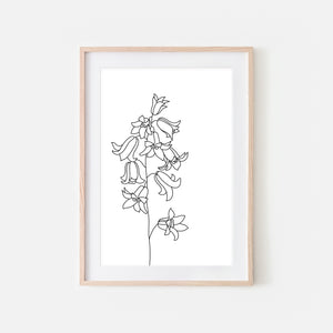 Floral No. 4 Wall Art - Minimalist Bell Flowers Line Drawing - Black and White Print, Poster or Printable Download