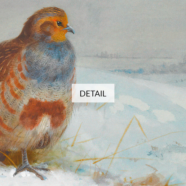 Archibald Thorburn Painting - Partridges And A Hare - Samsung Frame TV Art 4K - Birds & Winter Landscape - Digital Download