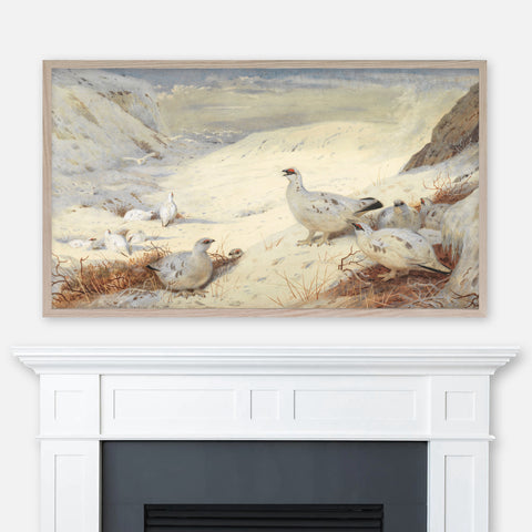 Archibald Thorburn Painting - Ptarmigan in Winter Plumage - Samsung Frame TV Art 4K - Bird Landscape - Digital Download