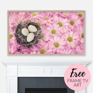 Free Easter Samsung Frame TV Art Digital Download - Eggs in Bird Nest on Pink Daisy Flowers - Spring Decor