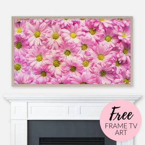 Free Spring Samsung Frame TV Art Digital Download - Pink Daisy Flowers Background
