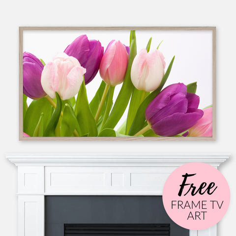 Free Spring Samsung Frame TV Art Digital Download - Purple and Pink Tulip Flowers