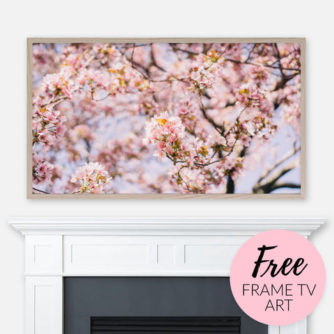 Free Spring Samsung Frame TV Art Digital Download - Tree Branches with Pink Cherry Blossom Flowers in Bloom