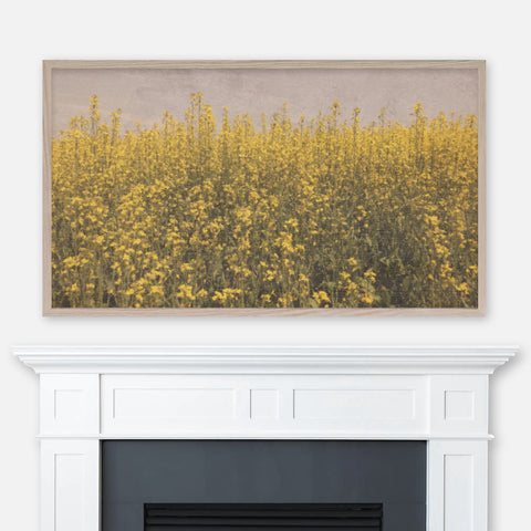 Yellow mustard flowers vintage painting displayed full screen in Samsung Frame TV above fireplace