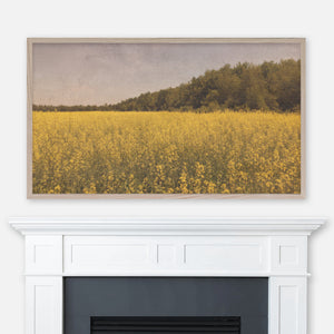 Yellow mustard field and green trees countryside vintage painting displayed full screen in Samsung Frame TV above fireplace