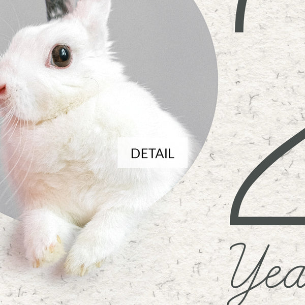 2023 Year of the Rabbit Samsung Frame TV Art 4K - Cute Chinese Horoscope New Year Decor - Digital Download