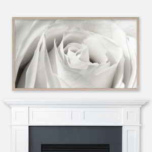 Close-up of a White Rose - Samsung Frame TV Art 4K - Black & White Photography - Digital Download