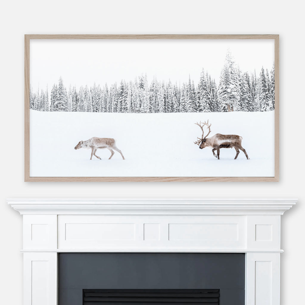 Winter Landscape Samsung Frame TV Art 4K - Photography of Reindeer Couple Walking in Snow with Pine Tree Forest in Background - Digital Download