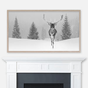 Winter Samsung Frame TV Art 4K - Black & White Photography of Deer in Snowy Pine Tree Forest Landscape - Digital Download