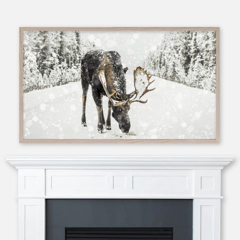 Moose on Snowy Road - Samsung Frame TV Art 4K - Winter Landscape Photography - Digital Download