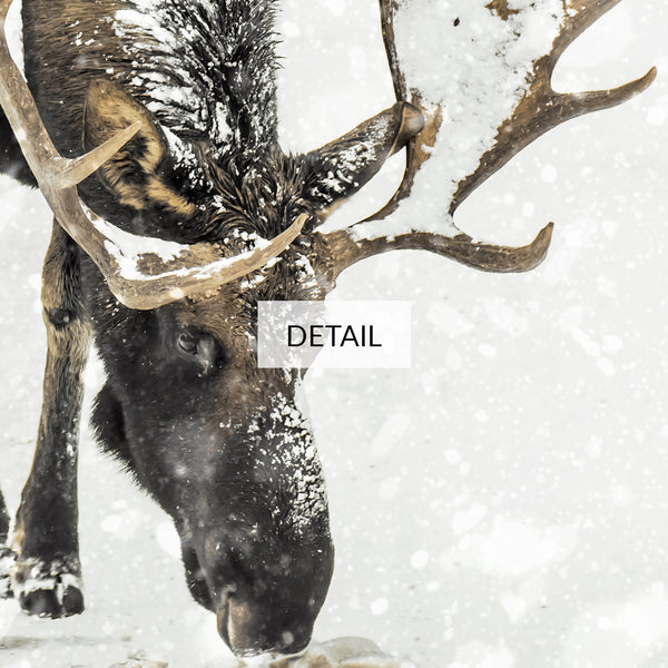 Moose on Snowy Road - Samsung Frame TV Art 4K - Winter Landscape Photography - Digital Download