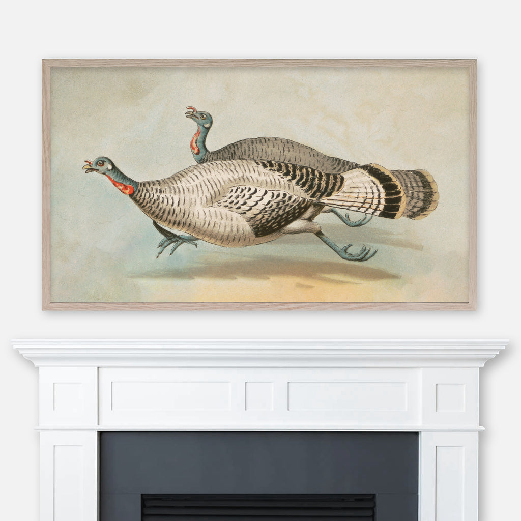 Running Turkeys - Funny Thanksgiving Samsung Frame TV Art 4K - Vintage Drawing - Digital Download