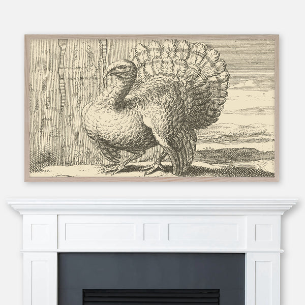 Vintage Turkey Drawing - Farmhouse Thanksgiving Samsung Frame TV Art 4K - Digital Download