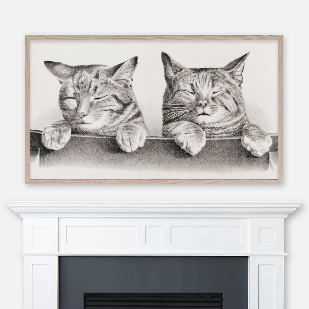 Thomas Hunter Drawing - Cats - Samsung Frame TV Art 4K - Digital Download