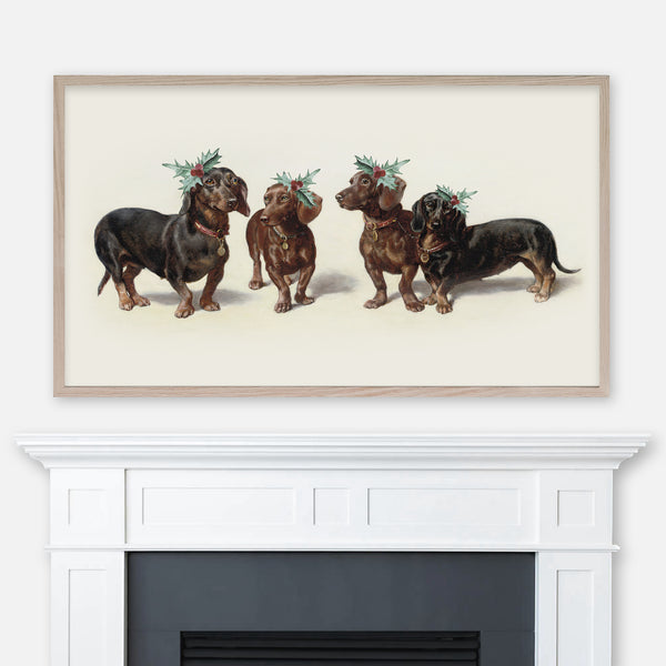 Christmas Dachshunds Samsung Frame TV Art 4K - Four Wiener Dogs Decorated with Holly - Cute Holiday Decor - Digital Download